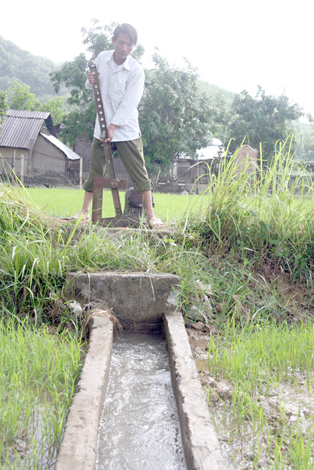 Ông Ngô Xuân Minh túc trực ngoài ruộng đồng để điều tiết nước về ruộng cho người dân trong ấp.  Ảnh: V. TRUYÊN