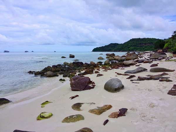  The wild beauty of Bai Sao. 