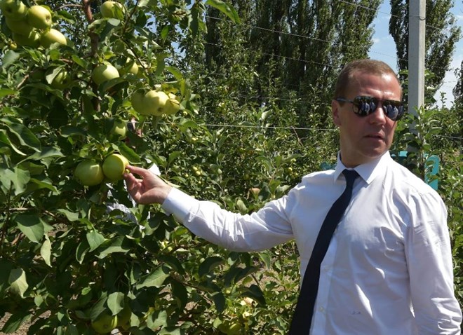 Thủ tướng Nga Medvedev tại quần đảo Kuril (Nguồn: AFP)