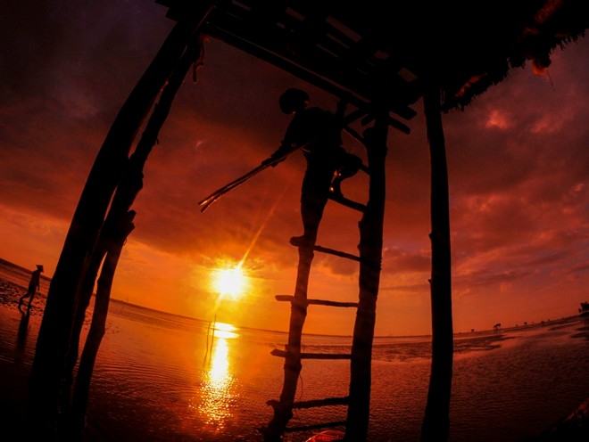 Tan Thanh beach- biggest clam farm in the southern region