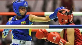 Vietnam Boxing Federation makes its debut