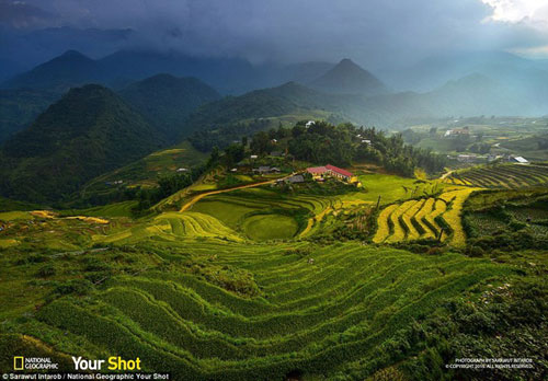  The UK's Daily Mail has rounded up National Geographic Traveler's first curated selection of jaw dropping photo entries. This photo of terraced paddy fields in Vietnam was taken by one of the Your Shot community members. 