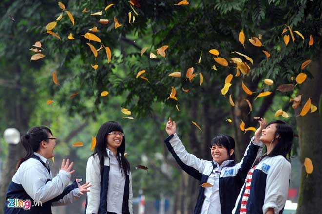 Every fall, sightseers flock to Phan Dinh Phung Street in the Ba Dinh district to enjoy the fiery colours of autumn.