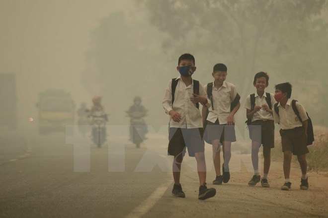 Khói mù do cháy rừng bao phủ tỉnh Jambi, Indonesia ngày 29/9. (Nguồn: Reuters/TTXVN)