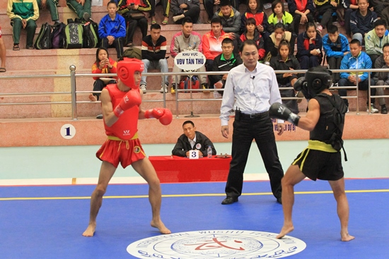 Dong Nai ranks 8th at National Wushu Cup