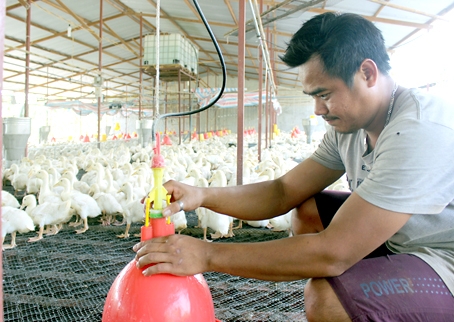 Nếu không hỗ trợ vốn vay ưu đãi dài hạn, rất ít trang trại đủ khả năng di dời. Trong ảnh: Một trang trại chăn nuôi ở xã Gia Kiệm, huyện Thống Nhất.