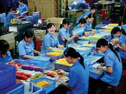 Decree on establishing social businesses issued