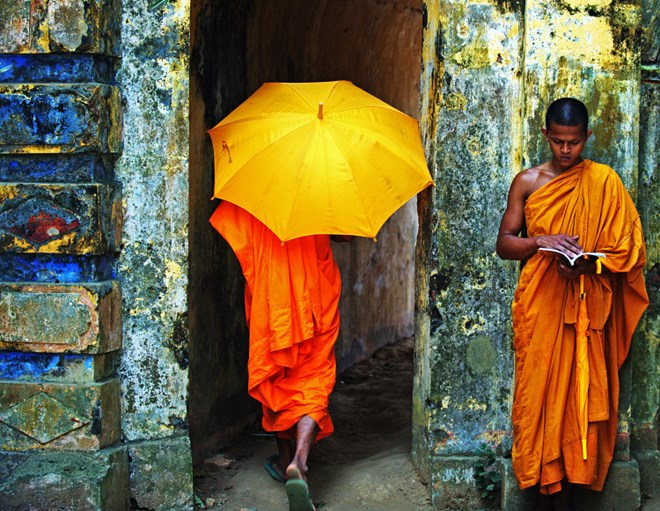 Yellow Umbrella by Viet Van