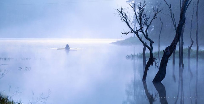  The lake is surrounded by pine forests. 