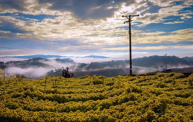  Trai Mat vegetable farms are located on the city’s outskirts. 