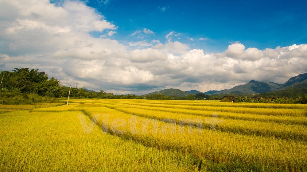 Binh Lieu district is endowed with the wild and charming beauty of terraced fields and forest spreading as far as the eyes can see