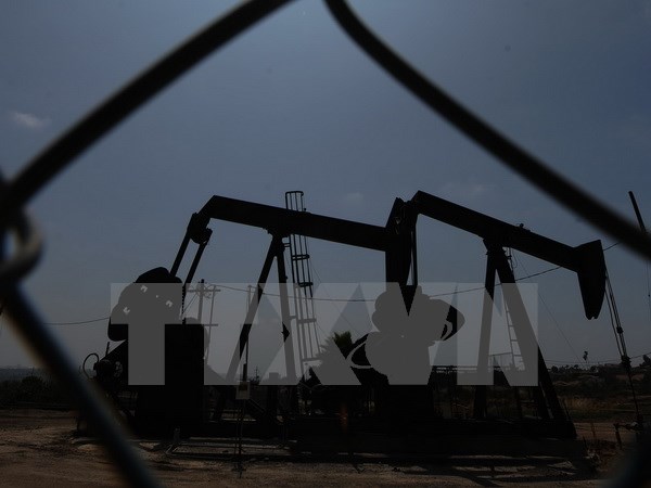 OPEC nỗ lực tìm kiếm thỏa thuận hạn chế nguồn cung dầu mỏ