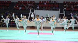 As many as 242 athletes from 10 countries and territories in Asia will compete in the fifth Aerobic Gymnastics Asian Championships, which is scheduled for December 11-13 in Ho Chi Minh City.