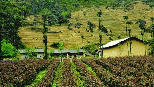 Pho Bang- a peaceful town on Dong Van Karst Plateau