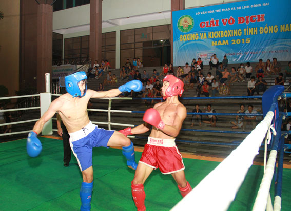 Các võ sĩ thi đấu nội dung kickboxing