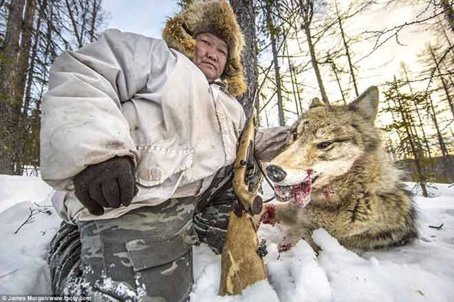 Nature & Environment - Winner - UK photographer James Morgan took this image of a hunter holding up the head of the wolf he just shot dead in Yakutia, Russia