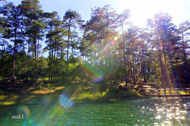 Tuyen Lam is a man-made lake located about 6km from the centre of Da Lat.