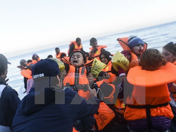 Người di cư tới đảo Lesbos, Hy Lạp sau hành trình vượt biển Aegean từ Thổ Nhĩ Kỳ ngày 14/11. (Nguồn: AFP/TTXVN)