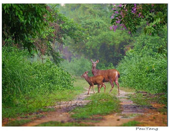 Ministry, local authorities disagree on road through Cat Tien Heritage site