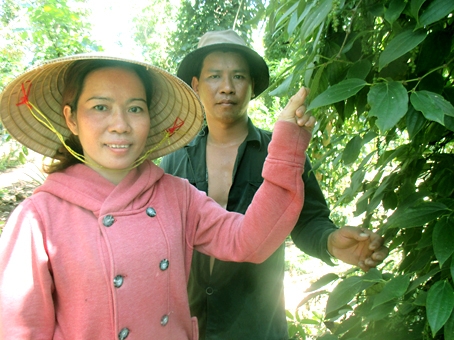 Bà Mằn A Múi bên những bụi tiêu bám vững trên thân điều, xoan, lồng mức.