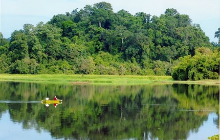 A part of the Cat Tien National Park. The project of building a road cutting through the park has been protested. — VNA/ VNS Photo