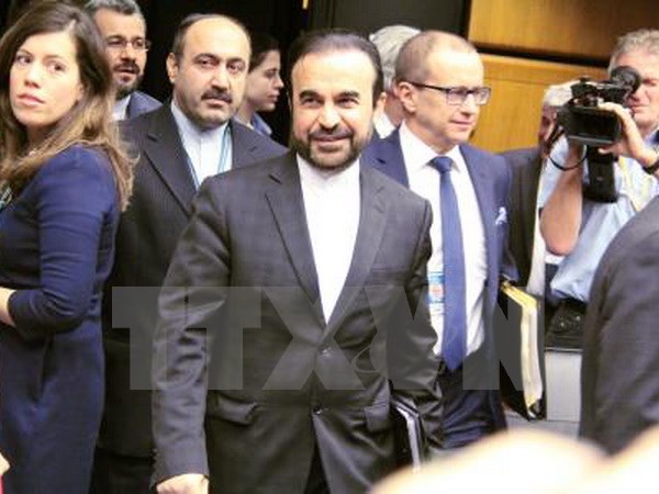 Đại sứ Iran tại IAEA Reza Najafi (giữa) trước cuộc họp Ban Giám đốc IAEA tại Vienna (Áo) ngày 15/12. Kyodo/TTXVN