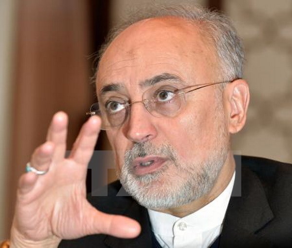 Phó Tổng thống, lãnh đạo Cơ quan Năng lượng nguyên tử Iran Ali Akbar Salehi. (Nguồn: AFP/TTXVN)