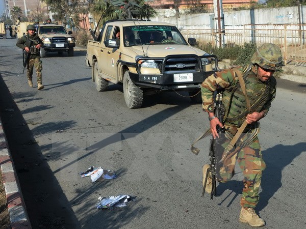 Ảnh minh họa. (Nguồn: AFP/TTXVN)