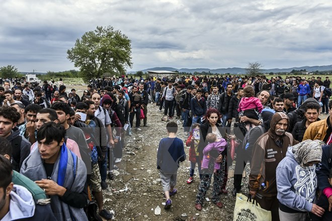 Người di cư tập trung gần khu vực Gevgelija, Macedonia sau khi vượt qua biên giới Hy Lạp-Macedonia. (Nguồn: AFP/TTXVN)