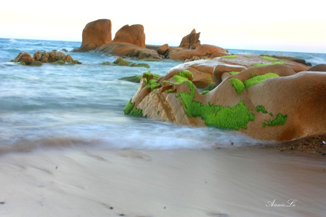 Co Thach is one of the most pristine beaches in Vietnam