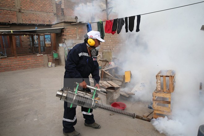 Nhân viên y tế phun thuốc khử trùng để ngăn chặn sự lây lan của virus Zika ở Lima, Peru ngày 29/1. (Ảnh: THX/TTXVN)