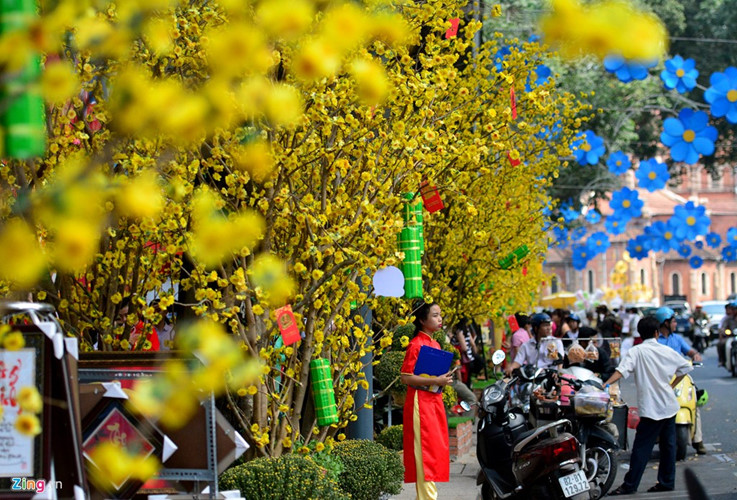 Ho Chi Minh City flower market in District 1