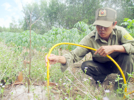 Nhân viên bảo vệ rừng Đầm Voi Nguyễn Văn Quang tiếp nước cho cây rừng.