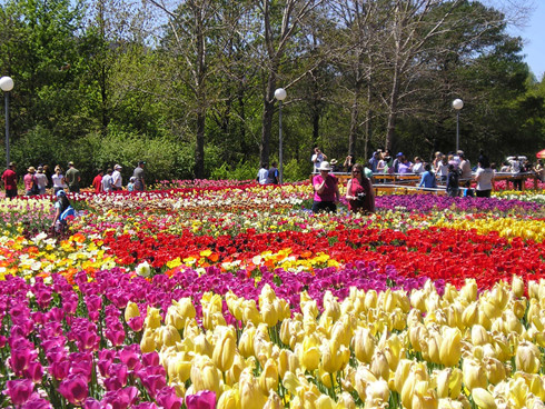 Visiting Da Lat Flower Park