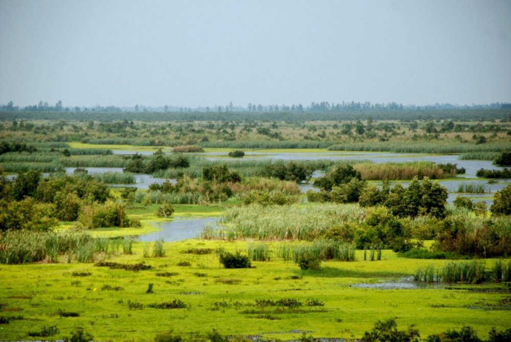 Ramsar, or the Convention of Wetlands, is an intergovernmental treaty that provides a framework for conservation and wise use of wetlands and their resources. It was adopted in the Iranian city of Ramsar in 1971 and came into force in 1975 