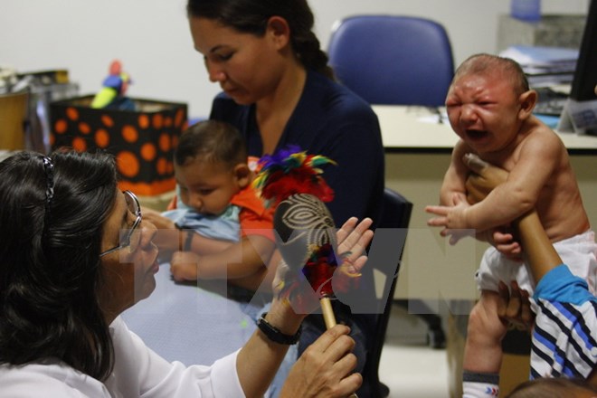 Trẻ em bị mắc chứng bệnh đầu nhỏ do nhiễm virus Zika được điều trị tại Trung tâm phục hồi chức năng ở Recife, Brazil ngày 25/2. (Nguồn: THX/TTXVN)