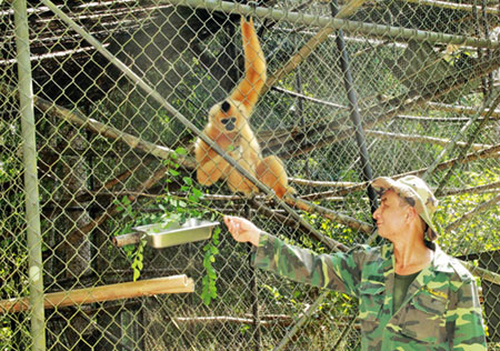 Feel for nature: K'Hoai works at the Cat Tien National Park's Centre for Endangered Primates Rescue.