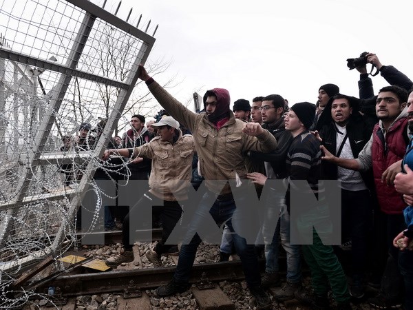 Hàng trăm người di cư Iraq và Syria tìm cách hạ đổ hàng rào dây thép gai được dựng lên tại biên giới Macedonia với Hy Lạp. (Nguồn: AFP/TTXVN)