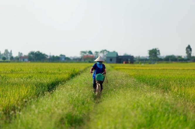 Life in Hanoi outskirts through the eyes of a native
