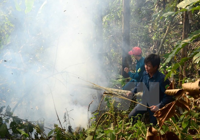 Rangers put out a fire in Dien Bien (Photo: VNA)