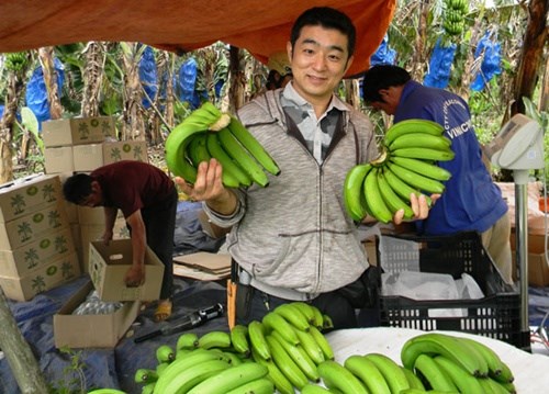 A Japanese customer is buying bananas in the Central Highlands Lam Dong province.