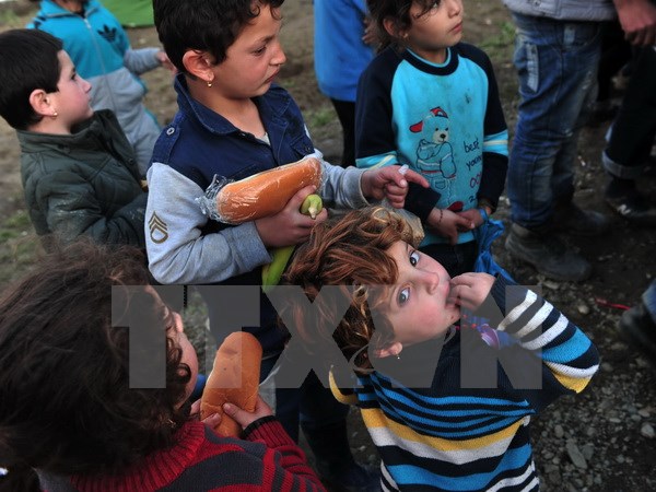 Trẻ em Syria chờ nhận lương thực cứu trợ tại các trại tị nạn dọc biên giới Hy Lạp- Macedonia ngày 11/3. (Nguồn: AFP/TTXVN)
