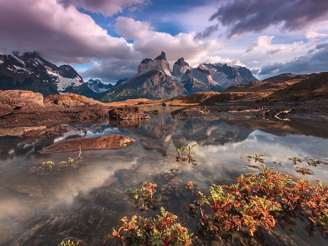 Other winners include: Eden's Garden by Adriano Neves