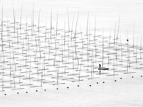 Farming the Sea by Tugo Cheng