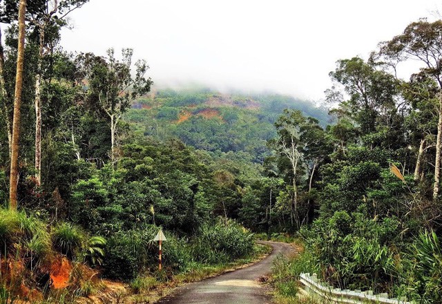 The most attractive trekking sites in central Vietnam