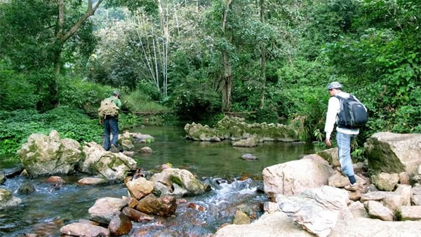 Xuan Son National Park – A destination of ecological interest