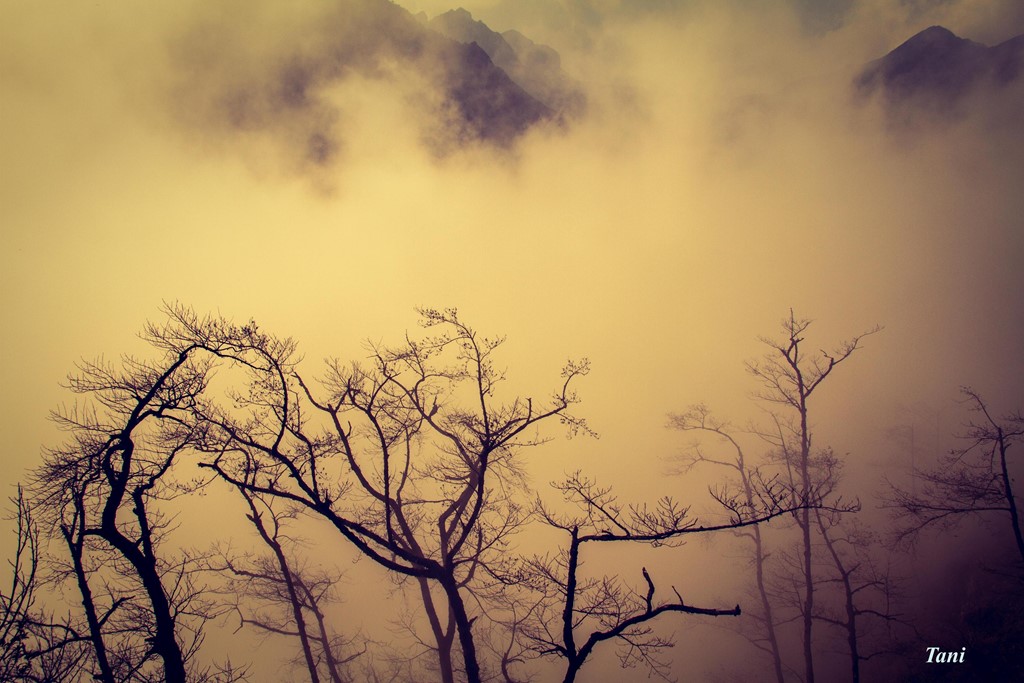 Conquer 3,000m Bach Moc Luong Tu Mount