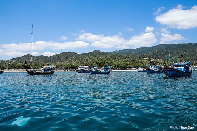 Fantasy world of corals at the seabed of Vinh Hy Bay