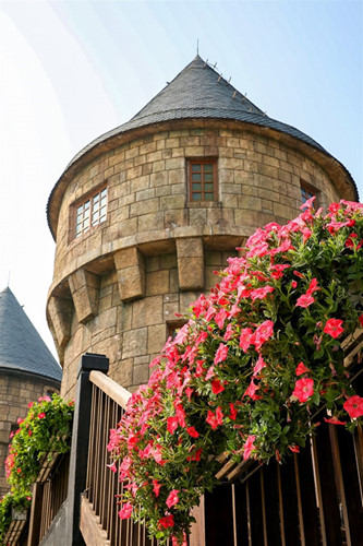 Da Yen Thao (Petunia) flowers at Mercure Bana Hills French Village