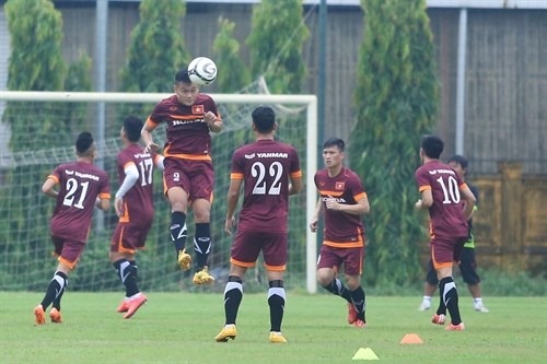 Vietnam’s team seen in a training session (Source: baomoi.com)